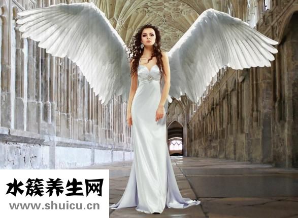 小腹疼痛是什么原因