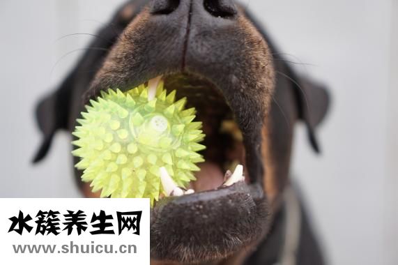 無聊的時候干什么