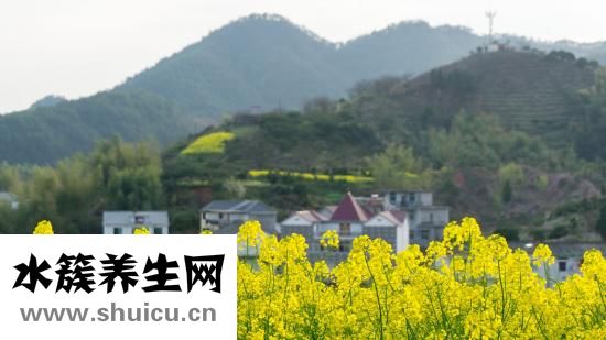 怎么樣消除黑眼圈