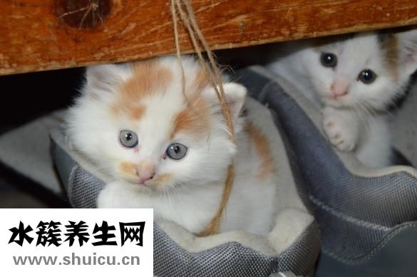 眼部皺紋怎么消除