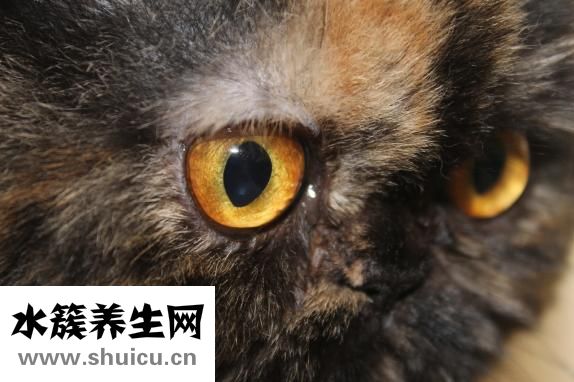 下眼皮松弛怎么辦