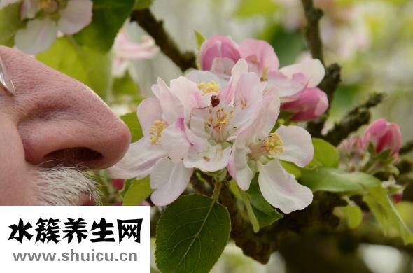 鼻子整容哪里好