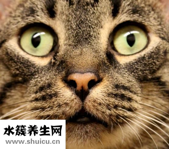 怎么能讓眼睛變大