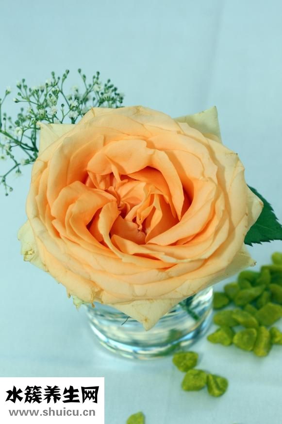 黃褐斑怎么去掉