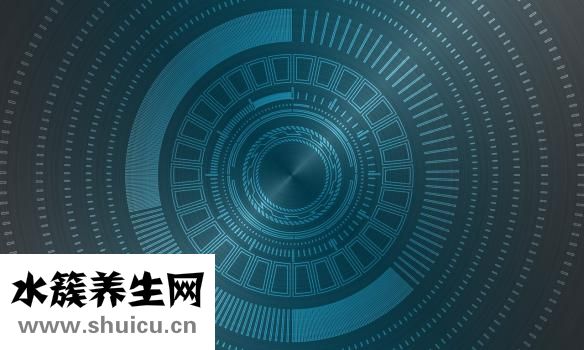 我的夢想是什么