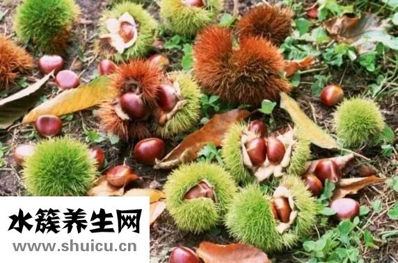 吃板栗有什么好處