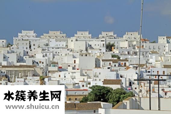 如何種植火龍果