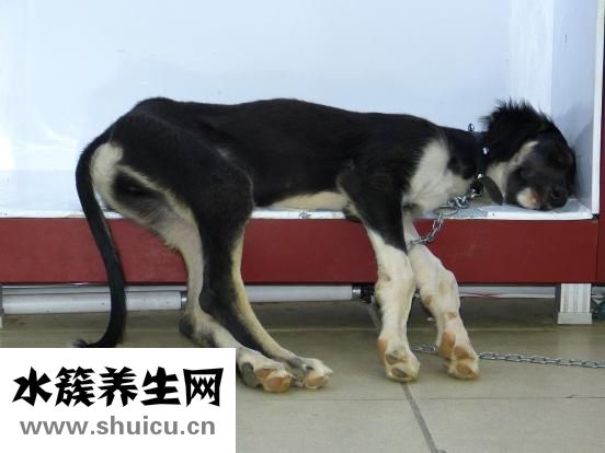 兒童鼻塞怎么辦