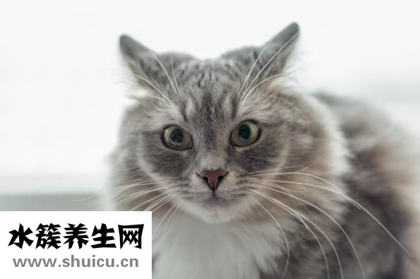 中耳炎不能吃什么