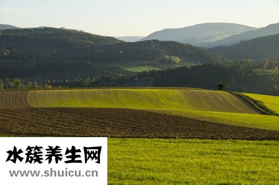 得了鼻炎怎么辦