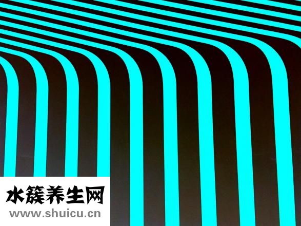 什么臉型適合劉海