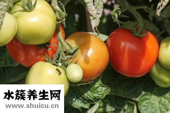 有什么方法可以祛斑