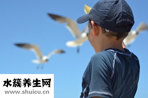 三個羊是什么字