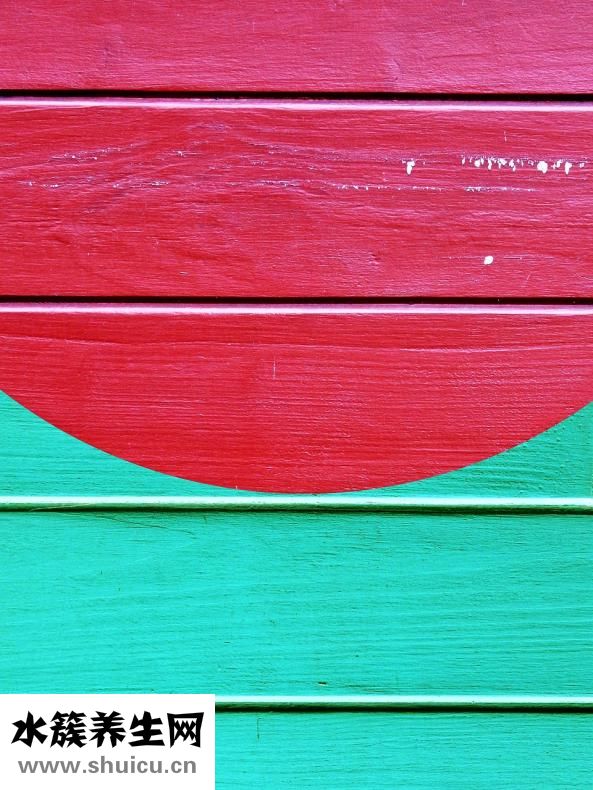 假體隆鼻材料有哪些