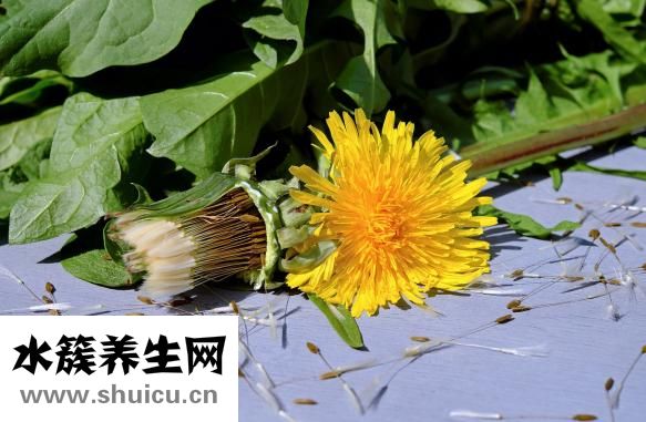 癲癇不能吃什么