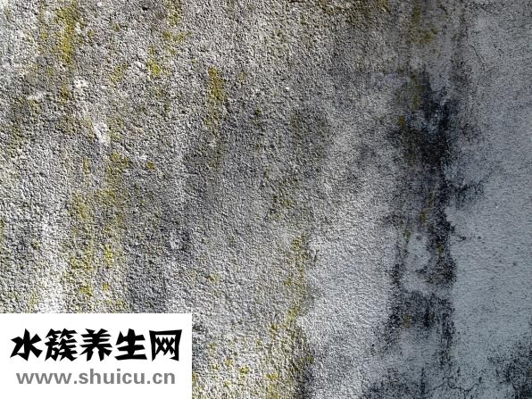 什么是竇性心律不齊