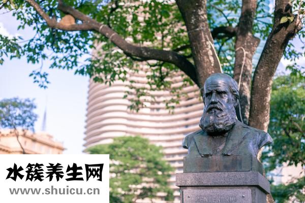 什么是非法同居