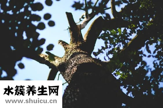 睡眠不好怎么調(diào)理