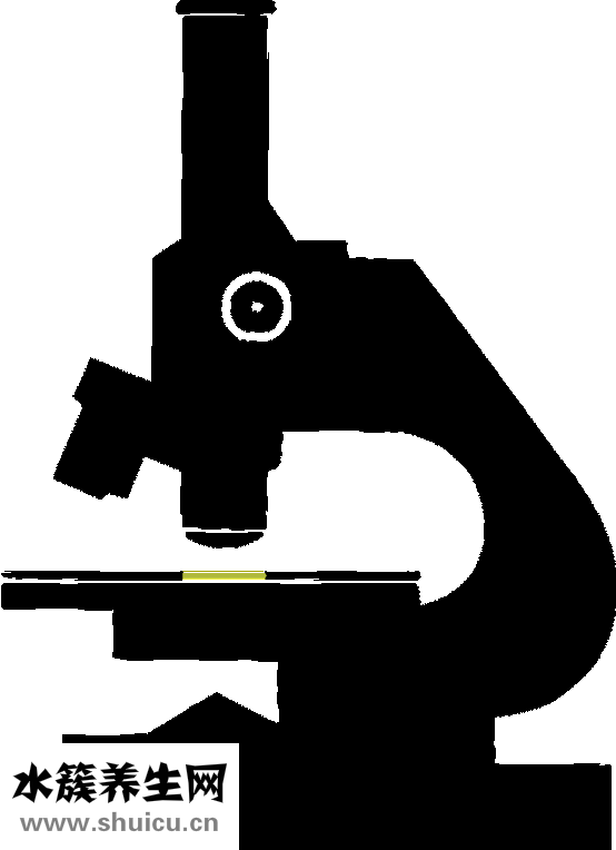 什么是果酸換膚