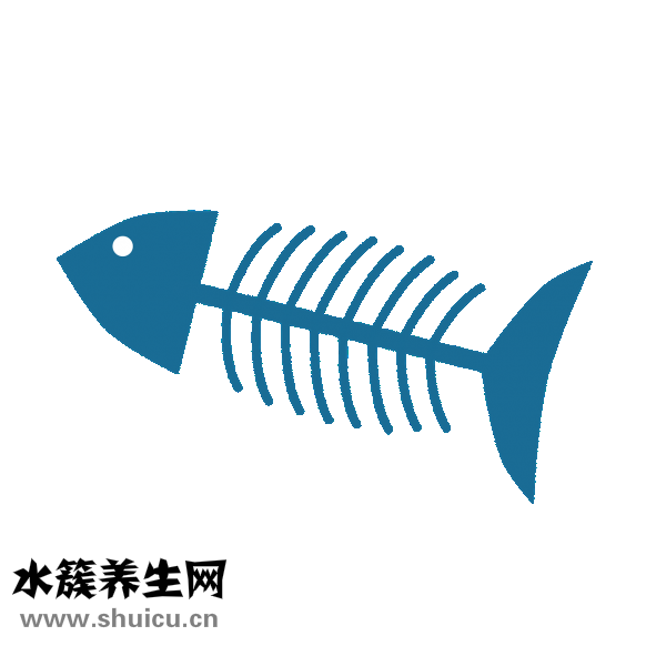 吃什么能增強記憶力