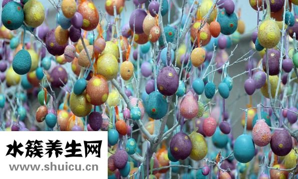 手術后喝什么湯