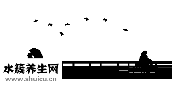 吃柿子不能吃什么