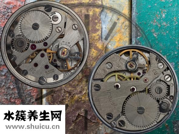 懷孕多久能測試出來