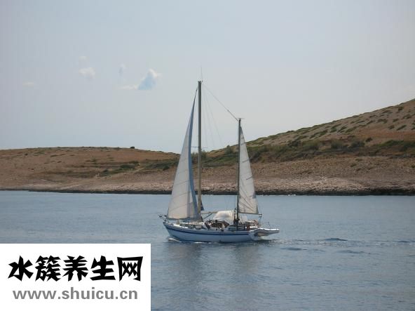 婚前檢查都檢查什么