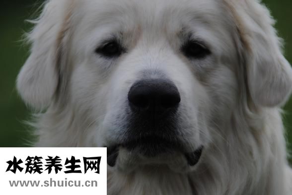 怎么讓毛孔變小