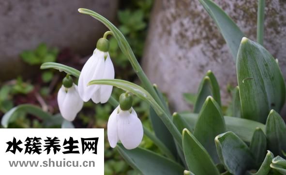 心理素質差怎么辦