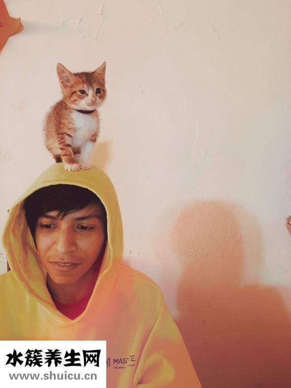 寶寶咳嗽吃什么藥