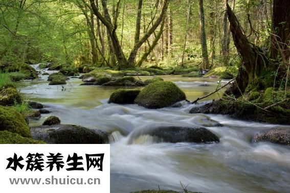 冰點脫毛哪里好