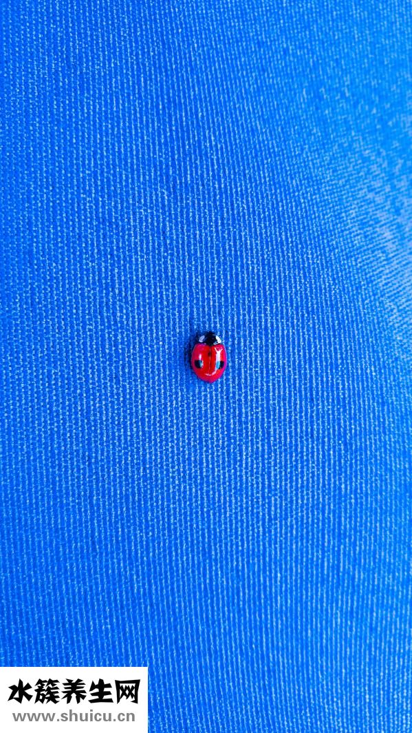 有紅血絲怎么辦