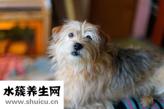 鼻子歪了怎么辦