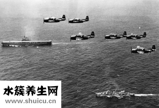 縣城做什么生意好