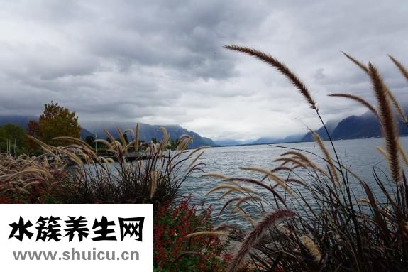 婦科檢查有哪些項(xiàng)目