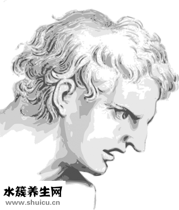 臉上長小痘痘怎么辦