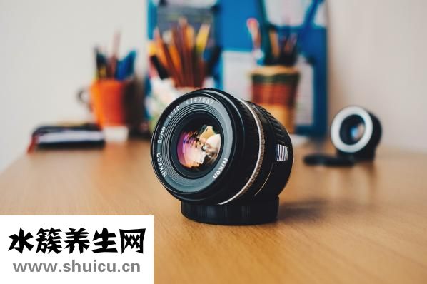 如何制作葡萄酒