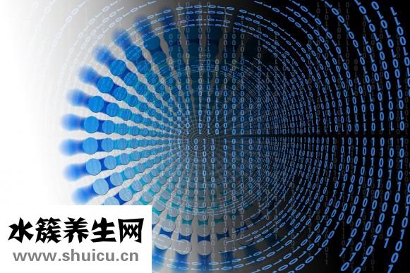 衛生棉條是什么