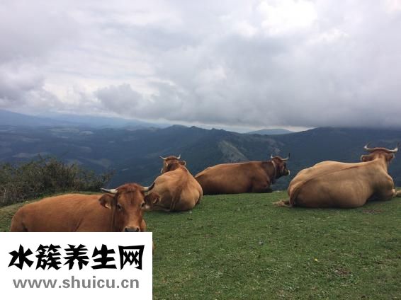 陽虛體質如何調理