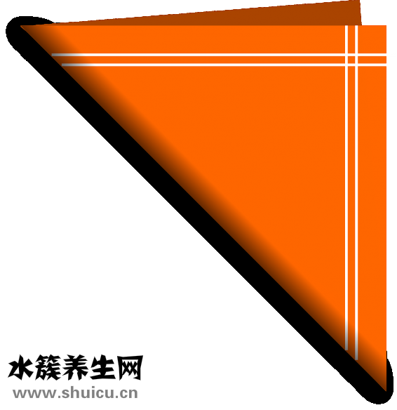 衛生棉條是什么