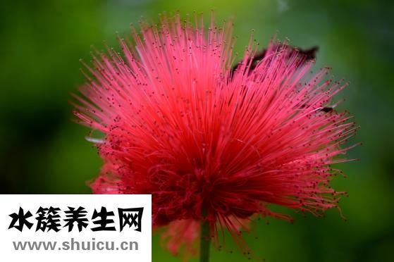 眼袋太大怎么辦