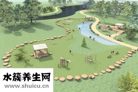 碰碰香怎么養(yǎng)