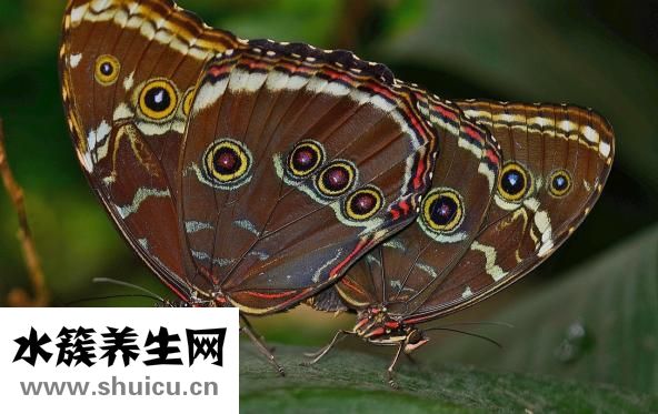 怎么能讓皮膚變好