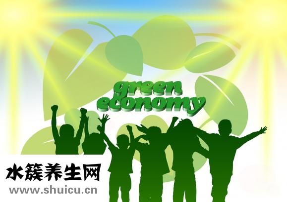 楊梅什么時候成熟