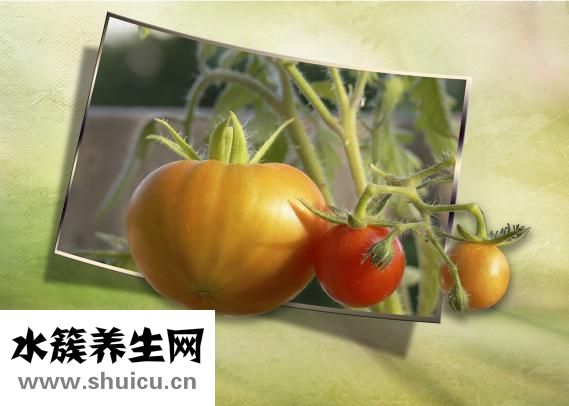 去痘印用什么好