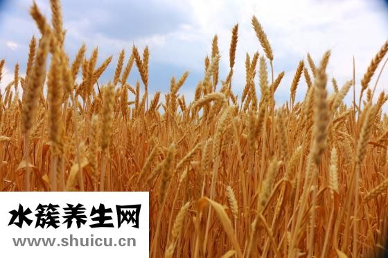 肉皮凍怎么做好吃