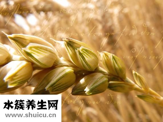 肉皮凍怎么做好吃