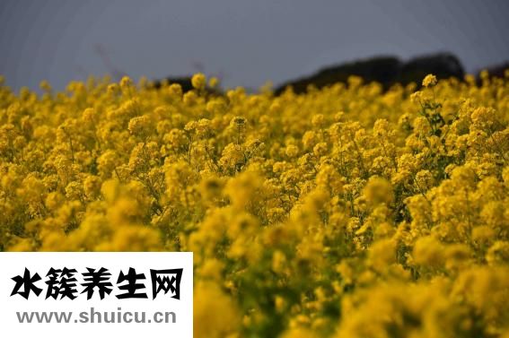 去痘印用什么好