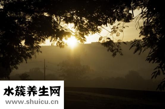 老年人吃什么補鈣